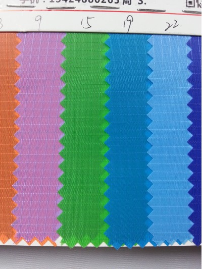 DG-BICG BC-210T 格子  背囊面料 後面照